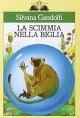 La scimmia nella biglia