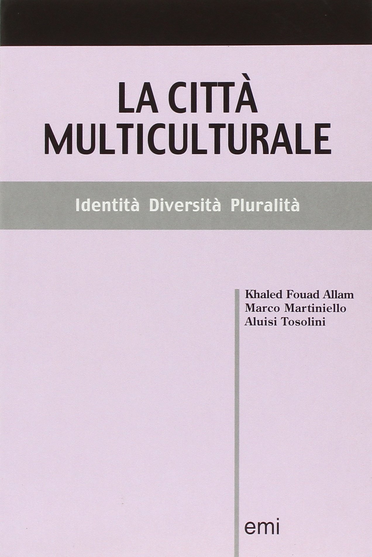 Copertina di La città multiculturale